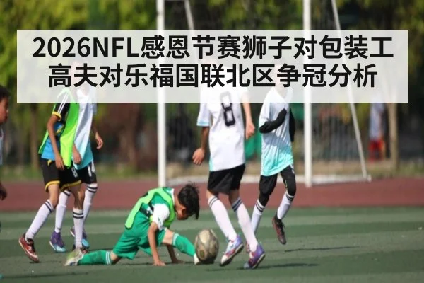 2026NFL感恩节赛狮子对包装工高夫对乐福国联北区争冠分析